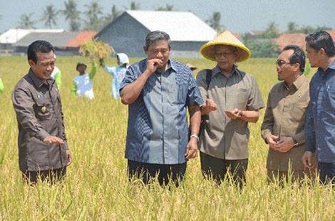 RAPBN 2014, Pemerintah Anggarkan Rp15,5 Triliun untuk Pertanian